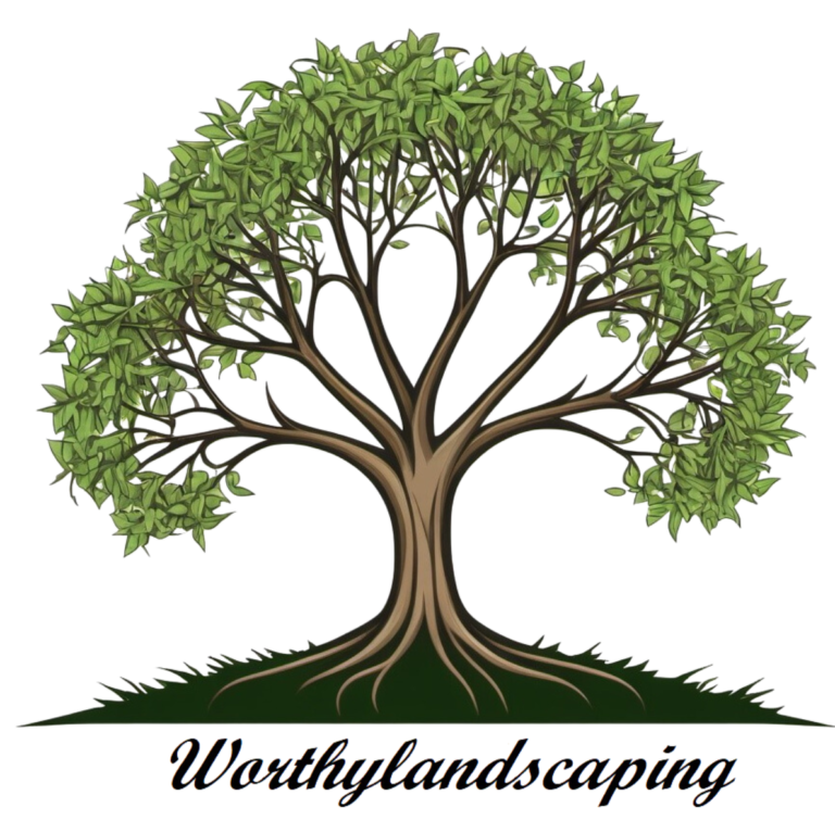 Our Services offered the Worthy Way!