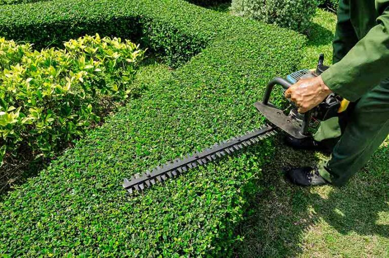 Worthy Landscaping. Shape hedges, remove dead wood, and haul away debris—healthier growth and curb appeal.