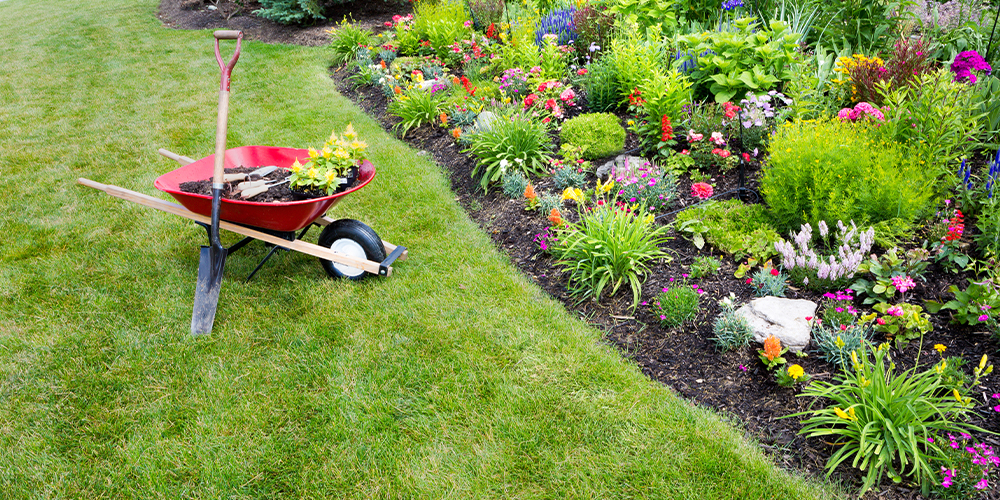 Worthy Landscaping Lawn Service Clients Home Lawn in Montgomery County, PA