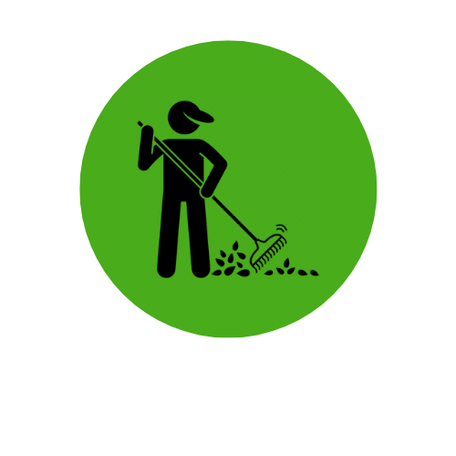 Raking leaves and debris