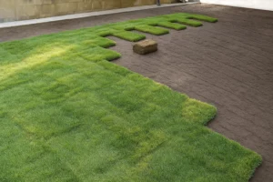 Finished sod surface with clean transitions around a side walkway after a Sod Installation Service by Worthy Landscaping in Montgomery County.
