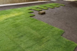 Backyard corner with partially stripped lawn waiting for sod during a Sod Installation Service by Worthy Landscaping in Montgomery County.