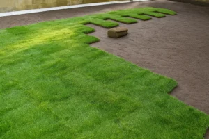 Mid-stage installation with soil prepped and some sod already down during a Sod Installation Service by Worthy Landscaping in Montgomery County.