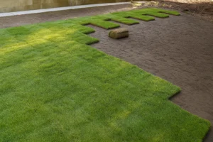 Side yard image showing rough existing turf awaiting sod during a Sod Installation Service by Worthy Landscaping in Montgomery County.