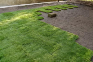 Close-up of fresh sod seams pressed together on a side lawn during a Sod Installation Service by Worthy Landscaping in Montgomery County.