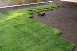 Crisp new sod forming a fresh edge next to driveway pavers after a Sod Installation Service by Worthy Landscaping in Montgomery County.