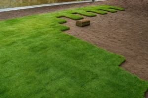 Fresh sod arranged in straight lines along a property boundary during a Sod Installation Service by Worthy Landscaping in Montgomery County.