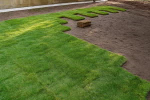 and new sod nearby during a Sod Installation Service by Worthy Landscaping in Montgomery County.