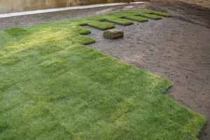 Backyard view where only part of the lawn has fresh sod during a Sod Installation Service by Worthy Landscaping in Montgomery County.