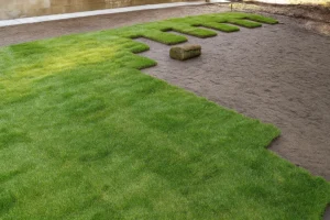 Cut-out sections of old lawn replaced with new soil base during a Sod Installation Service by Worthy Landscaping in Montgomery County.