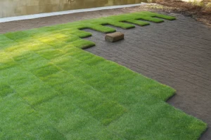 Partially laid sod completing a narrow lawn strip beside the house during a Sod Installation Service by Worthy Landscaping in Montgomery County.