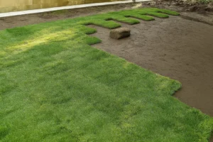 Driveway edge where original grass has been scraped away ahead of sod during a Sod Installation Service by Worthy Landscaping in Montgomery County.