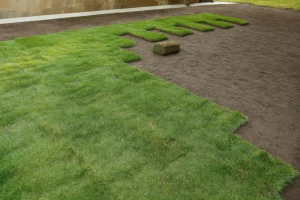 Mid-installation image showing soil leveling tools near partially sodded area during a Sod Installation Service by Worthy Landscaping in Montgomery County.