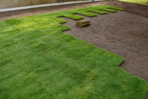 View along house foundation where grass has been removed for sod during a Sod Installation Service by Worthy Landscaping in Montgomery County.