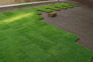 Photo of lawn mid transformation with both old and new surfaces during a Sod Installation Service by Worthy Landscaping in Montgomery County.