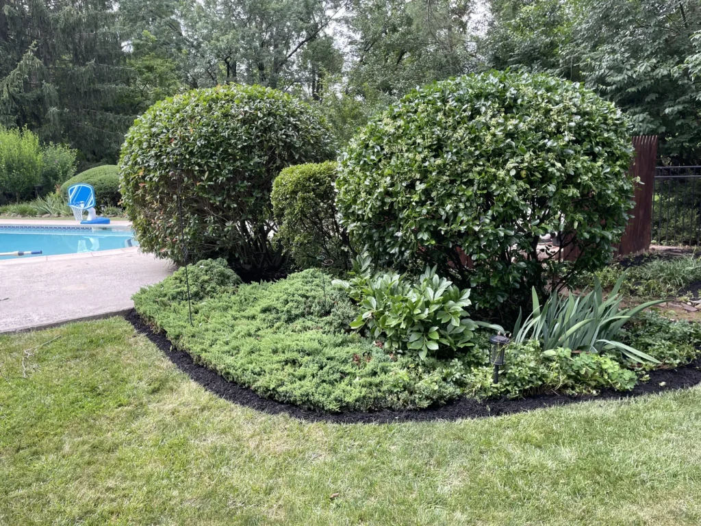 Bush & Shrub Trimming in Blue Bell, PA — work by Worthy Landscaping