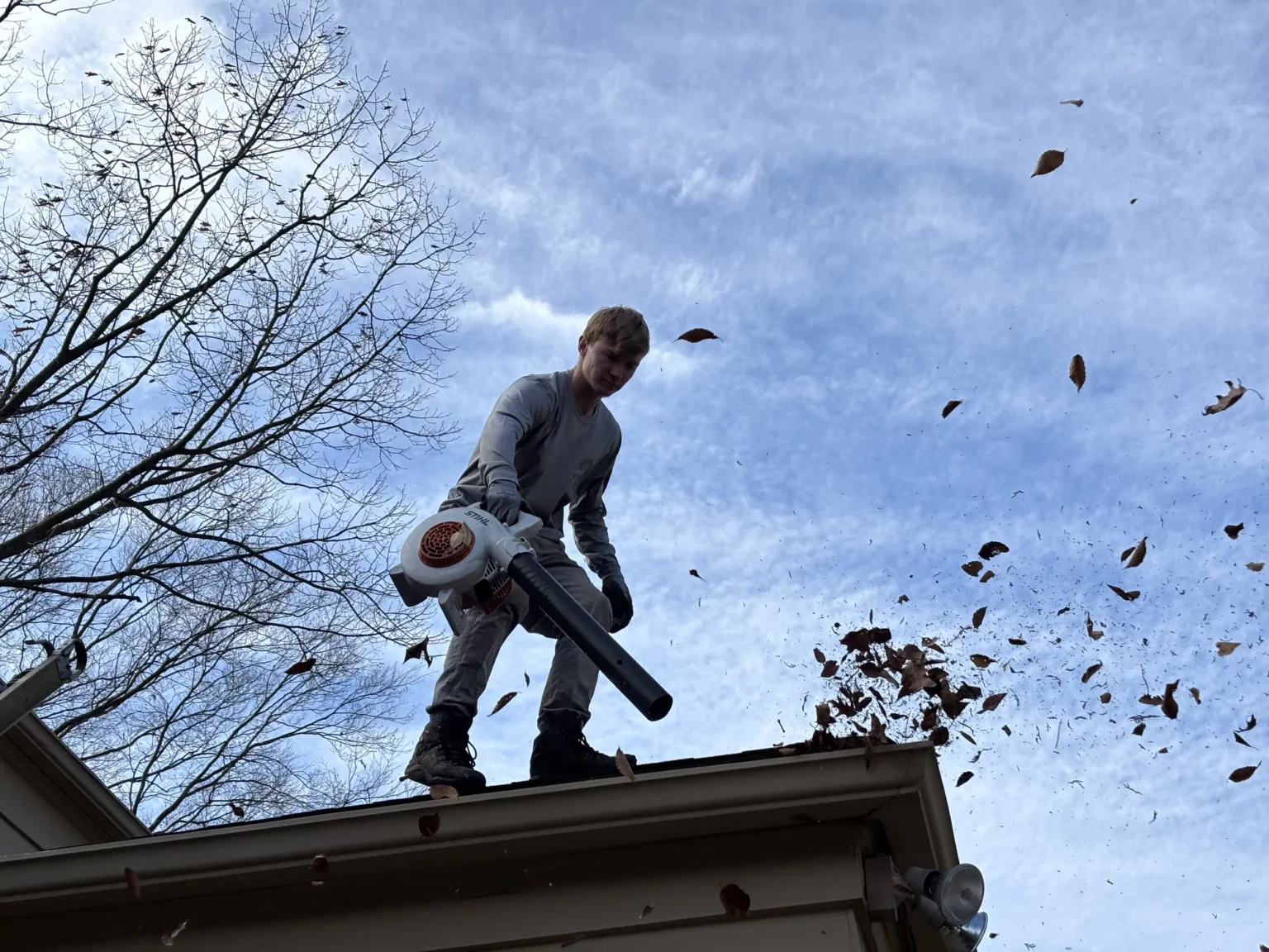 Thorough Leaf Cleanup for Lawns, Beds, Walks, and Edges.