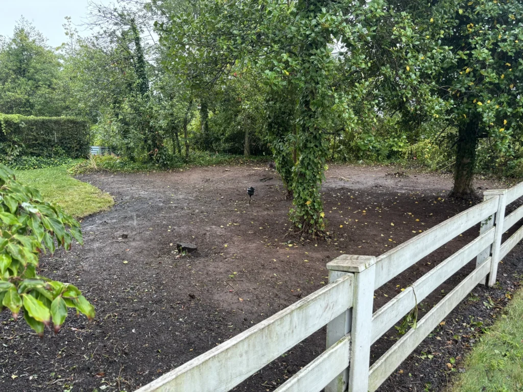 Property Cleanup Services in Audubon, PA — work by Worthy Landscaping