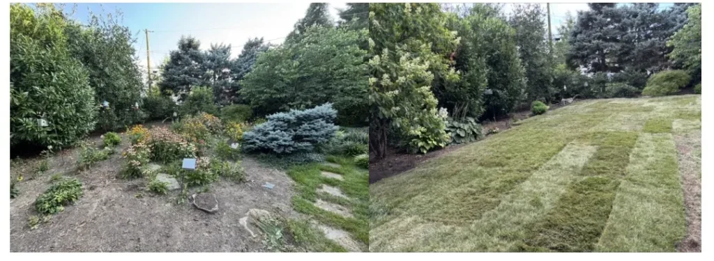 Property Cleanup Services in West Chester, PA — work by Worthy Landscaping