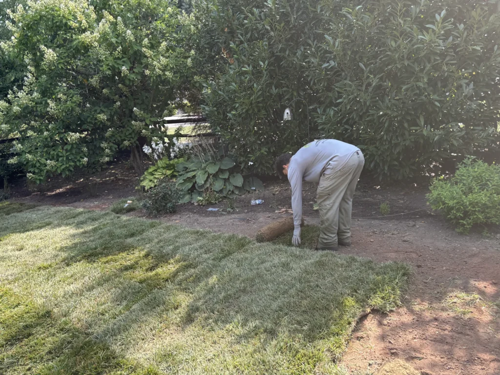 Sod Installation Services in Ardmore, PA — work by Worthy Landscaping