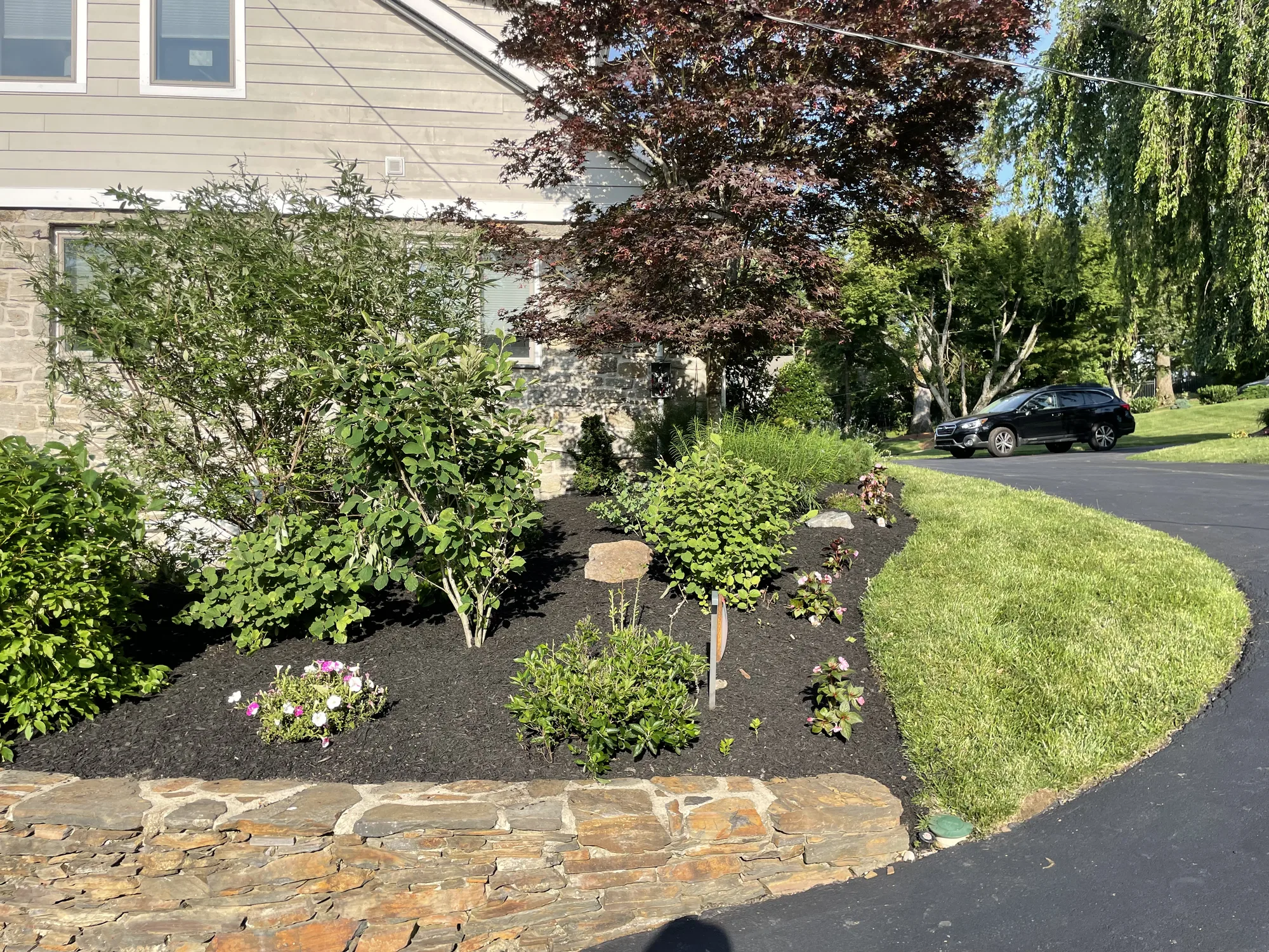 Property cleanup, debris removal, and landscape bed cleanup by Worthy Landscaping