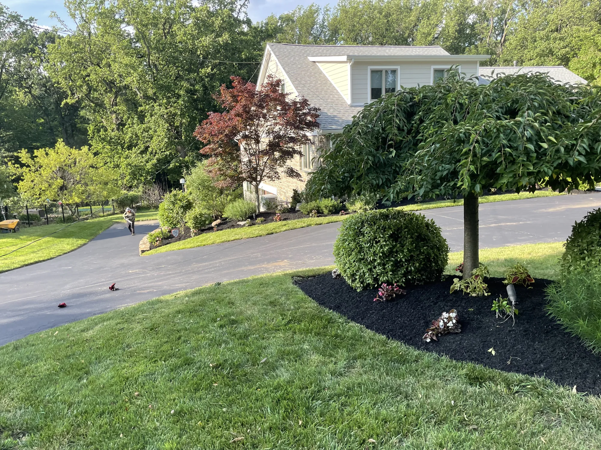 Fresh mulch installation around landscape beds and trees by Worthy Landscaping