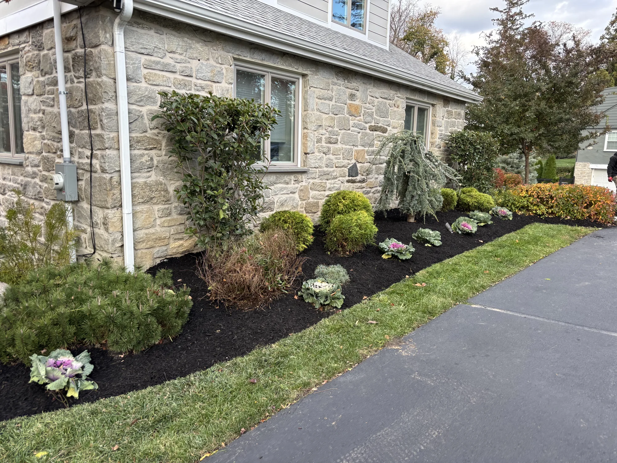 Bush and shrub trimming services near King of Prussia, PA by Worthy Landscaping